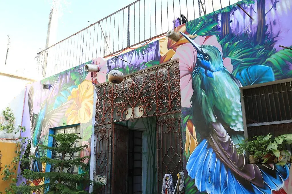 Hostel La Casa del Tio Rafa Mérida México